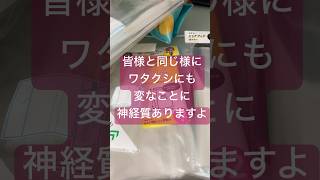 一瞬映る尻の下に敷いてあるのはバーバリーの擦り切れたタオル　#shorts
