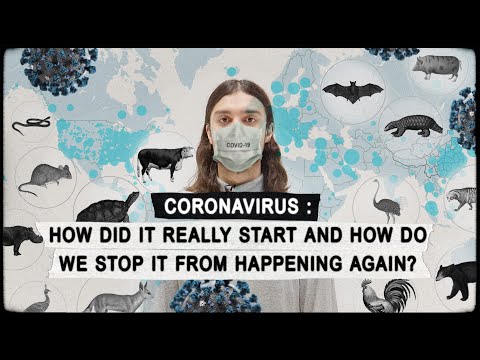 CORONAVIRUS: How Did it Really Start & How Do We Stop it From Happening Again? COVID-19