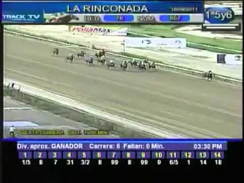 Resumen Domingo, 18 de Septiembre de 2011   La Rinconada
