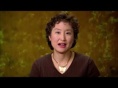 ￼ cats 101 Siamese ENG￼