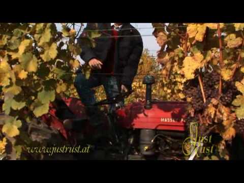 Weingut Just Rust promotion Clip