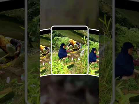 GARDENING CLASS YAYASAN WAHDINI, 13 JANUARI 2026