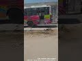TAMILNADU PRIVATE BUS AND TAMILNADU GOVERNMENT BUS