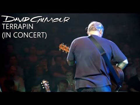 David Gilmour - Terrapin (In Concert)