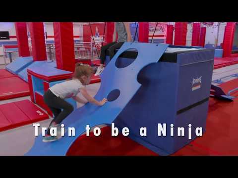 Ninja Nation - Mini Heroes