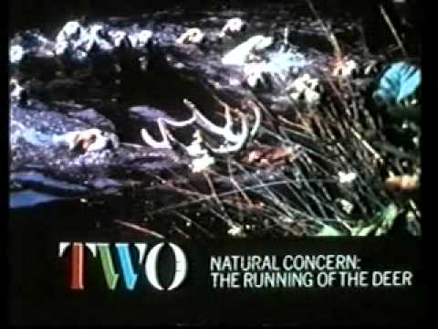 BBC2 Junction 1988 (2)