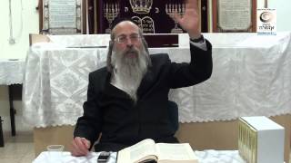 הרב אליהו גודלבסקי | משיבת נפש - שיר ציון חסדים חדשים
