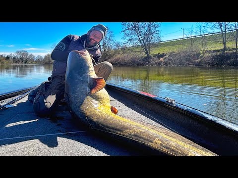 Big Siluro a spinning con gomma e la nuova Evo Cat Spin 243 Zeck Fishing