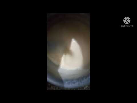 Verka milk and custard ice cream