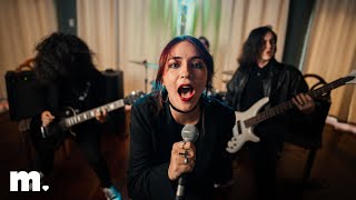 Meerkat – NORMIE F**K