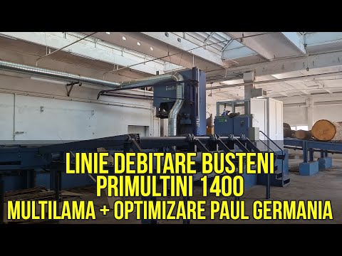 Linie debitare bușteni Primultini, multilamă tivit și optimizare cherestea Paul Germania