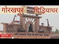 Gorakhpur chidiyaghar|गोरखपुर चिड़ियाघर|Gorakhpur Zoo|Gorakhpur chidiyaghar full video #