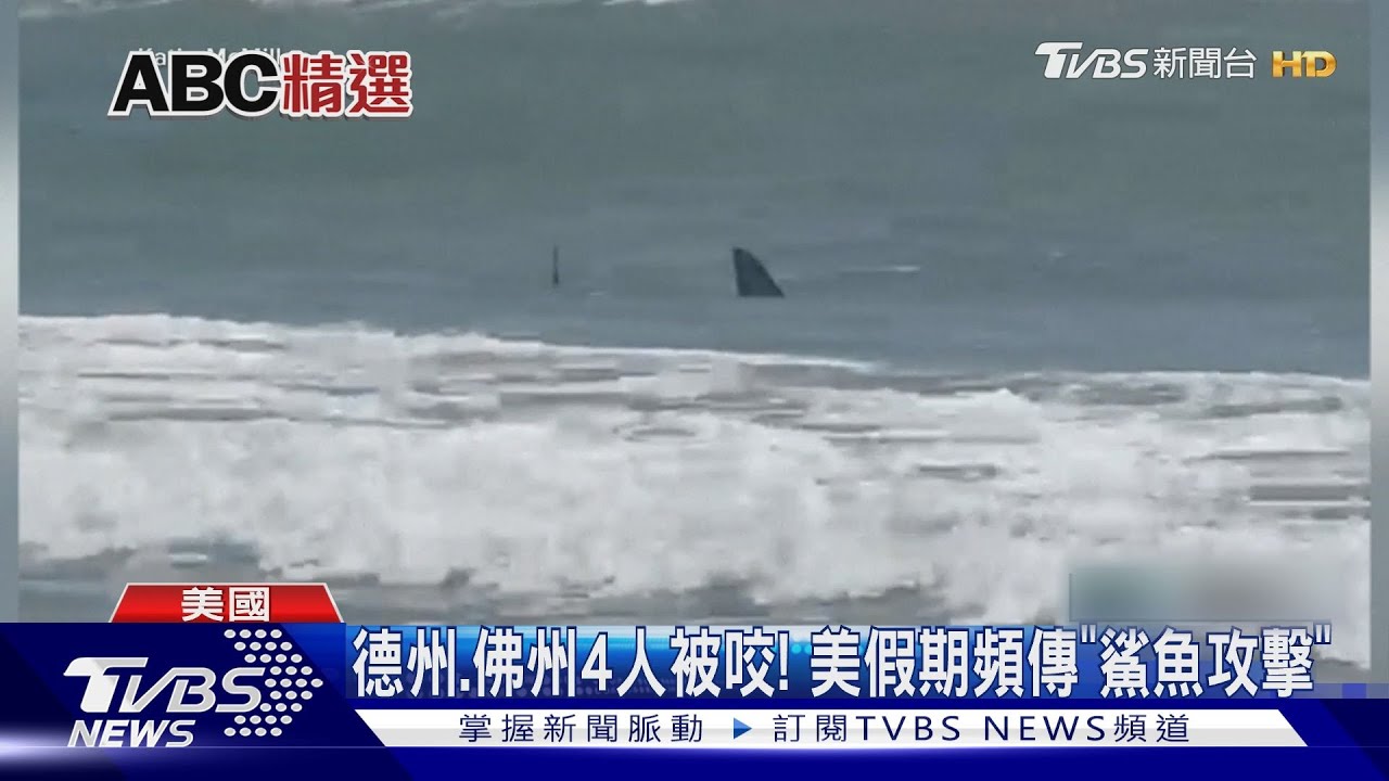 新常態! 美國沿岸禁獵油鯡、海豹鯊魚近岸攻擊事件大增