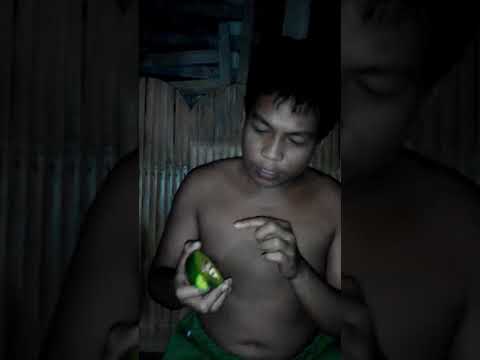 NAIF# Avocado fruit is healthy...hahaha😆😆😆