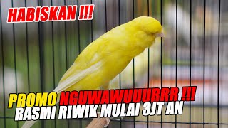 Download lagu WAJIB KESINI !!! RASMI RIWIK SPEK MENTOK CUMA 3JUTAAN PAUD F3 RASMI PERTAMA DI JOGJA #kenarijogja mp3