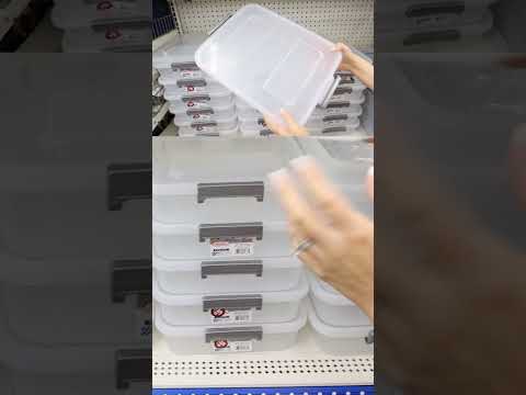 Árvore do dólar mais #dollartree