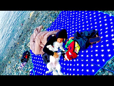 download lagu mp3 mp4 Dormire In Spiaggia Di Notte, download lagu Dormire In Spiaggia Di Notte gratis, unduh video klip Dormire In Spiaggia Di Notte