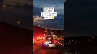 巨大なRed Bullを乗せた車が前走ってた！ #RedBull #レッドブル #shorts