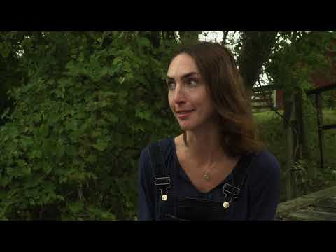 Trailer-Vorschau: Horse Camp - Sommer der Abenteuer