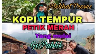 Download lagu Proses Pengolahan (Kopi Tempur) ROBUSTA yg mulai GO PUBLIK,Dr Petik sampai Jdi Serbuk Kopi. (PART.1) mp3