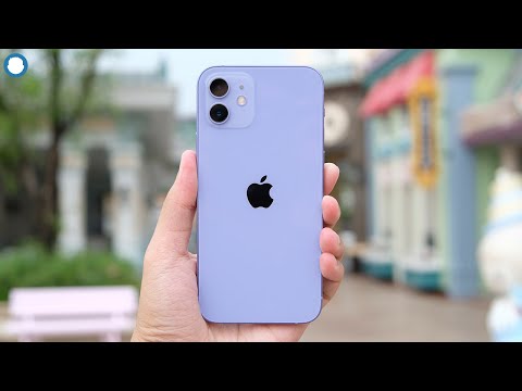 iPhone 12 Purple vs. 11: Is the color worth the upgrade? - Smart.DHgate – Trusted Buying Guides for Global Shoppers