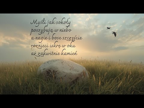 Aż kamień zakwitnie