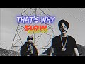THAT S WHY Slowed Reverb Tarna Byg Byrd Slowed Reverb Tere Baap Di Umar Dene Chele Jut