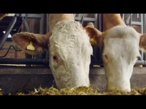 In Search Of Robert Burns