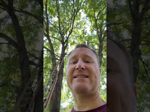 How Bitcoin Helped Me Save This Tree