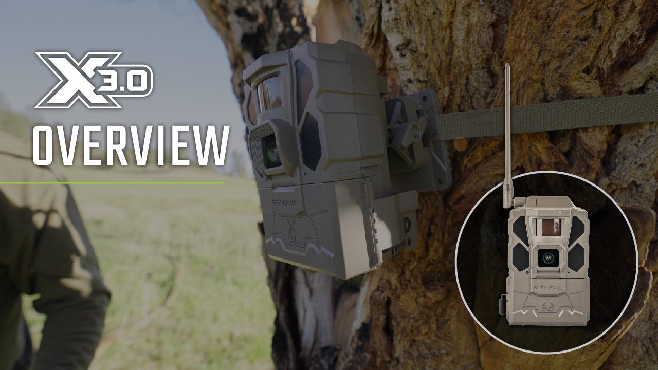 Experience the Full Service Abilities of CFS