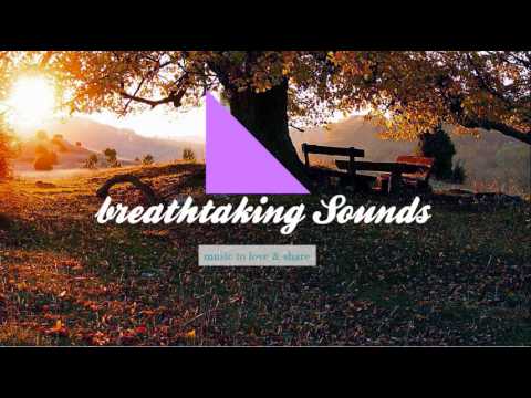 Plastic Plates - Things I Didn't Know I Loved