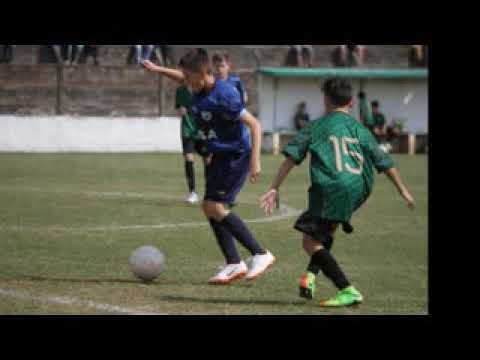 RICARDO GUBERT - LONDRINA HOPE