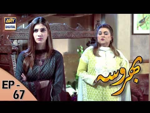 Bharosa Ep 67 - 10th August 2017 - ARY Digital Drama