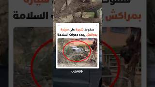 سقوط شجرة على سيارة بمراكش يعيد التحذير من ركن المركبات بجانب الأشجار  أثناء الرياح القوية thumbnail