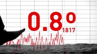 1.5°C: The Record We Must Not Break