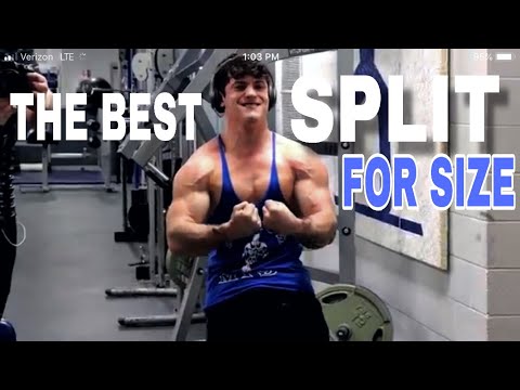 The Best BODYBUILDING Split | Q&A w Derek Martin
