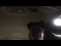 No Other Heart Mac Demarco Cover
