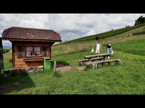 Mit THURBO auf dem WEINWEG WEINFELDEN
