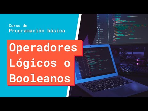 Logical or Boolean Operators | Basic Programming Course