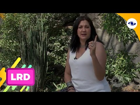 La Red: Adriana López confessed that Mauro Urquijo hasn't responded to his children's case - Cara...