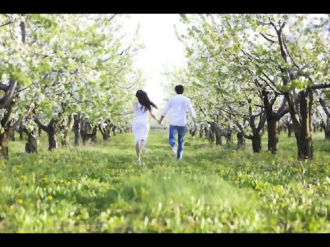 Thuỷ chung - Hồng Tước