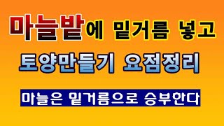 [텃밭농부 1,665]  마늘밭에 밑거름 넣고 토양만들기 요점정리. #마늘재배