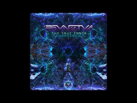 Psynetyk - Hypermap (The True Inner Workings)