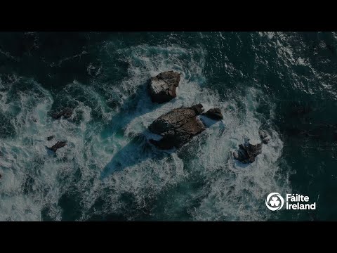 2021 Year in Review | Fáilte Ireland