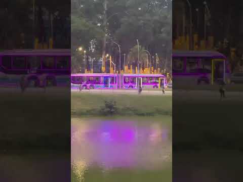 Ônibus de Natal de 2025 no Parque do Ibirapuera. SPTrans cidade de São Paulo.