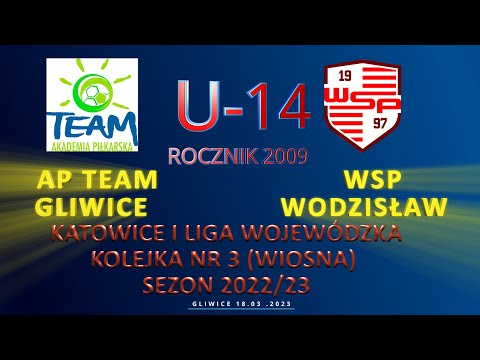 AP TEAM GLIWICE - WSP WODZISŁAW ŚLĄSKI