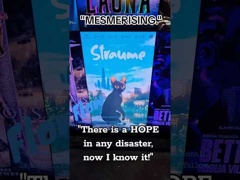 1st review. More to come. #blackcats #blackcat #flowanimation #flowmovie #flow #theflow #cats