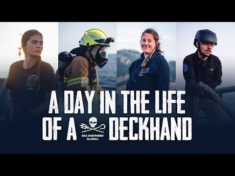 A Day in the Life of a Deckhand