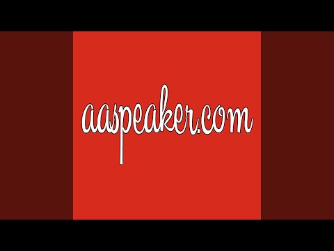 AA Speaker - Chris S. - The Twelve Traditions