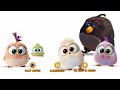The Angry Birds Movie 2016 Blu Ray DVD Menu